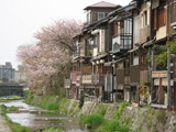 Foto: Kioto